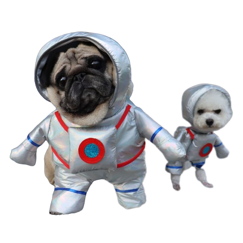 Interstellar Puppernaut Costume