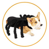 Spooky Spider Pup Costume