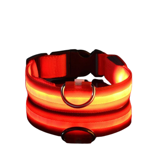 Flashing LED Pup Collar