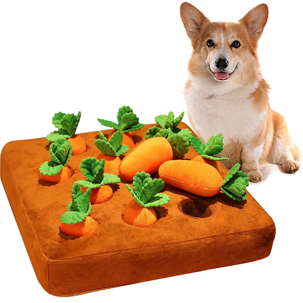 Carrot Caper Puzzle Toy