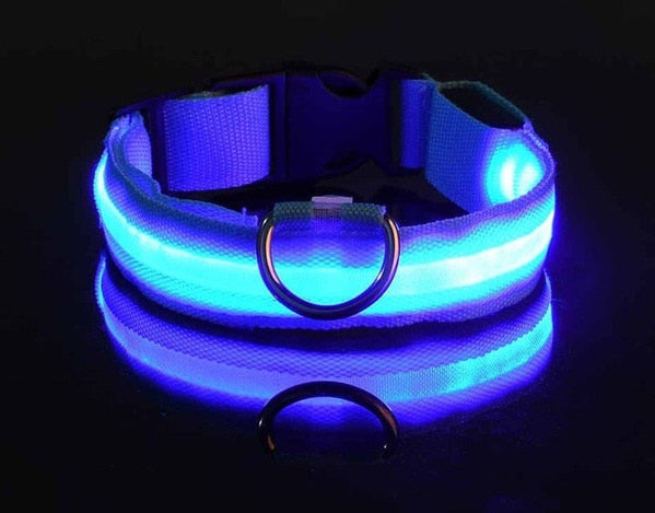 Flashing LED Pup Collar