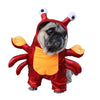 Crabby Puppy Costume