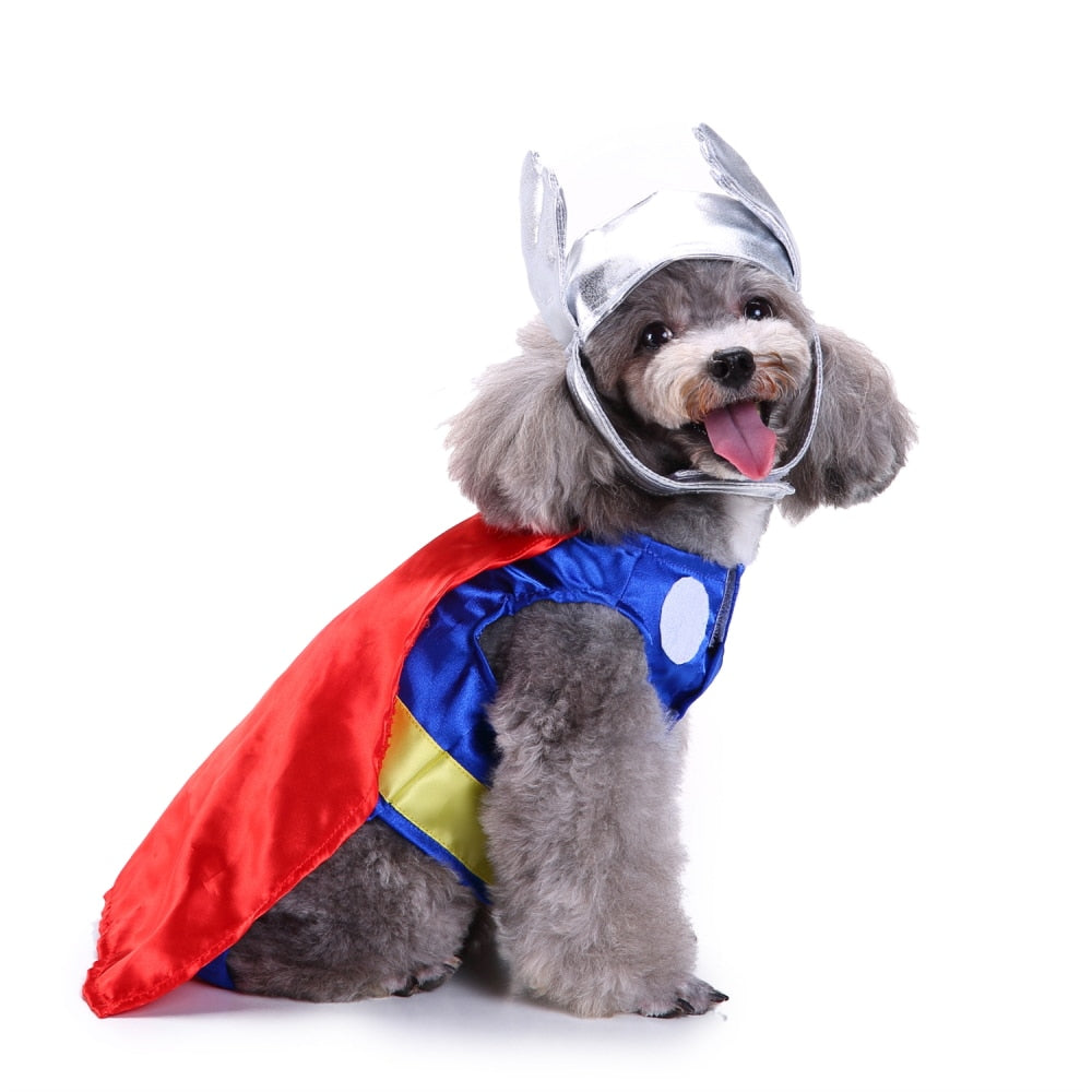 Thunderous Thor Pup Costume