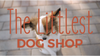 In the background, a long-haired brown and white chihuahua is sitting on a brick road, with the words 'The Littlest Dog Shop' superimposed in the foreground in dark orange text.