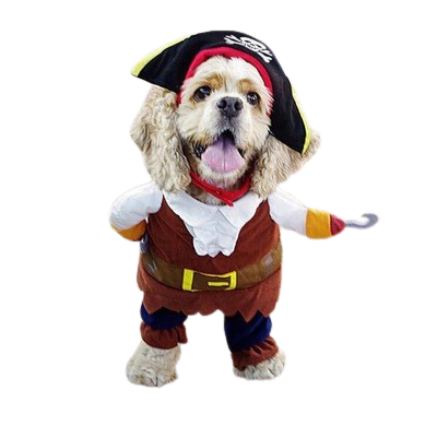 Hornswaggling Pirate Pup Costume