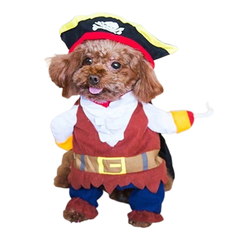 Hornswaggling Pirate Pup Costume