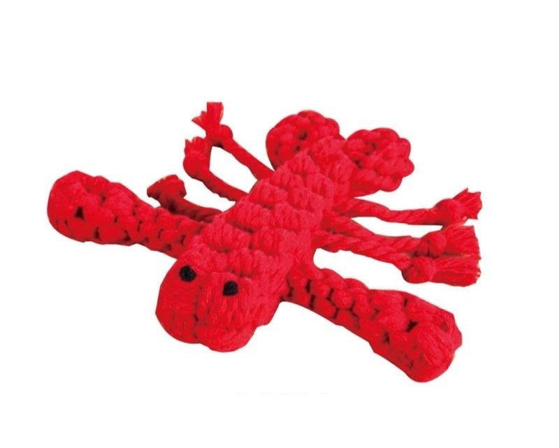 Sea Creatures Rope Chewy