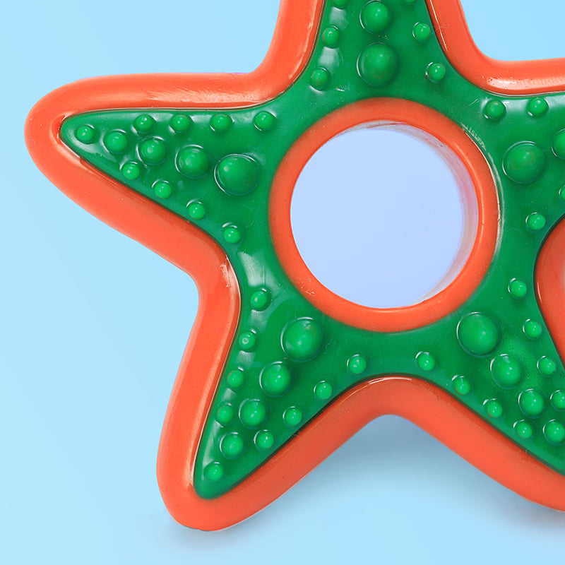 Vibrant Starfish Chewy