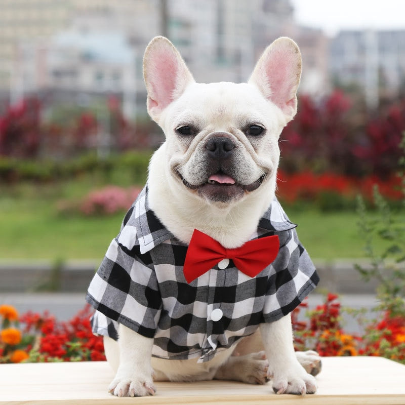 Buffalo Plaid Pup Shirt