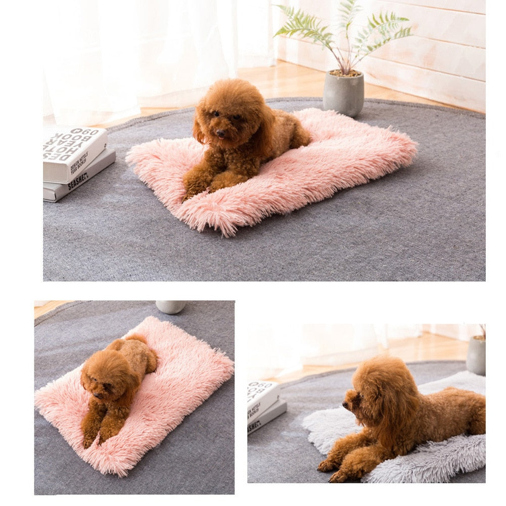 Luxe Faux Fur Pup Blanket