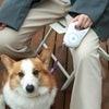 LED Retractable Leash