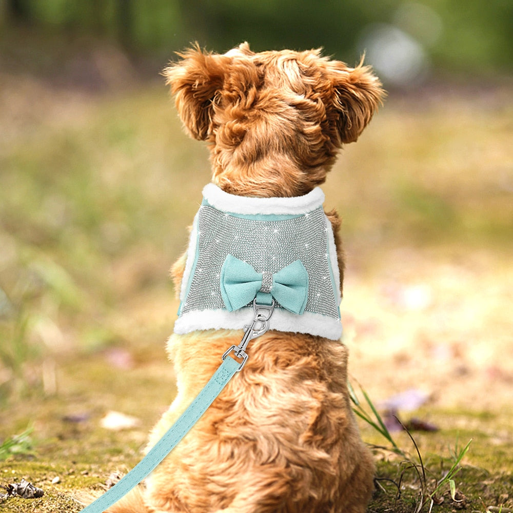 Bejewelled Harness Set