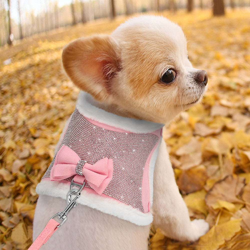 Bejewelled Harness Set