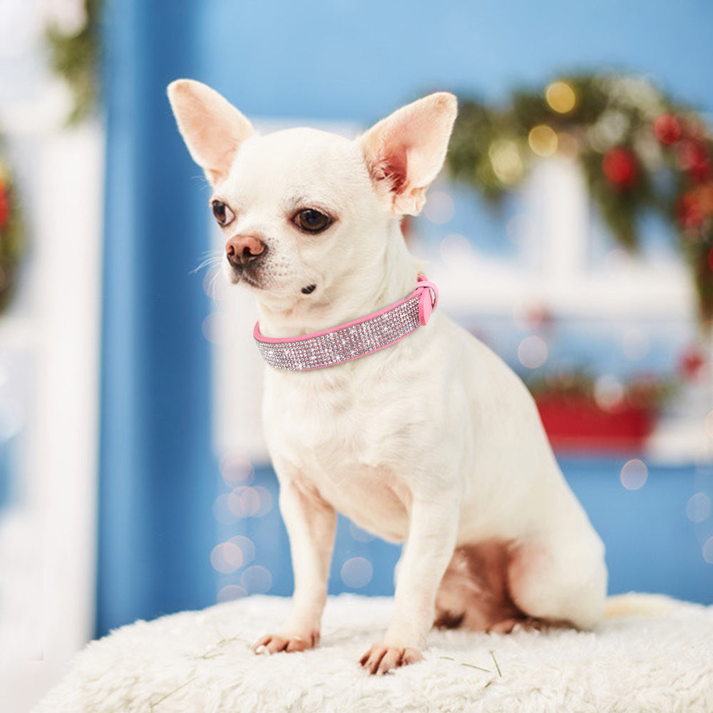 Swanky Rhinestone Collar