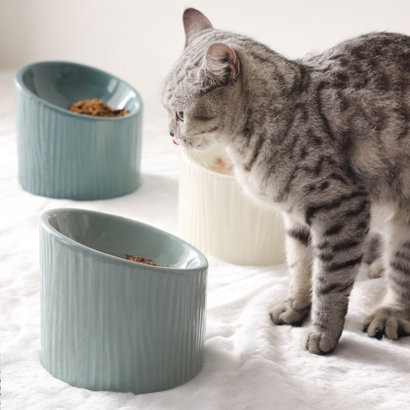 Sleek Ceramic Food Bowl