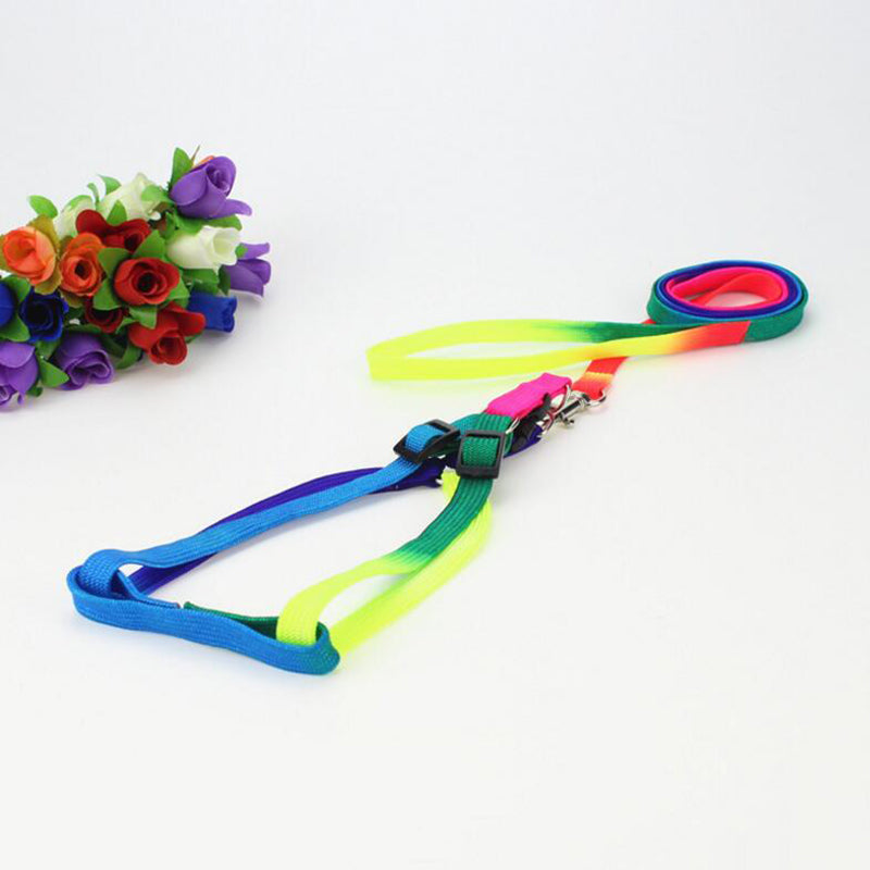 Neon Rainbow Harness Set