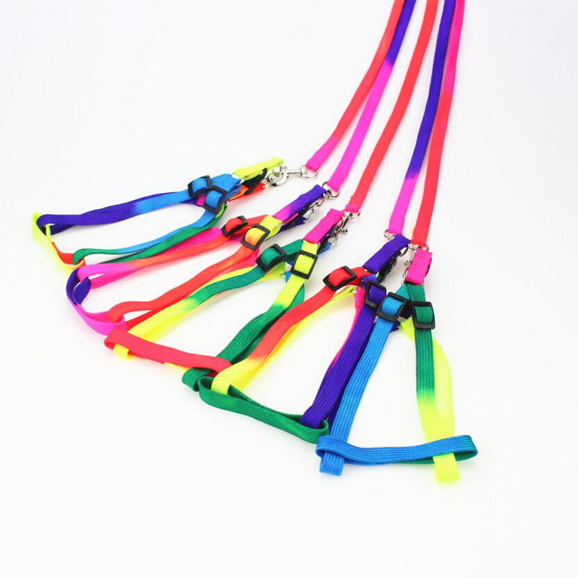 Neon Rainbow Harness Set