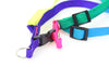 Neon Rainbow Harness Set