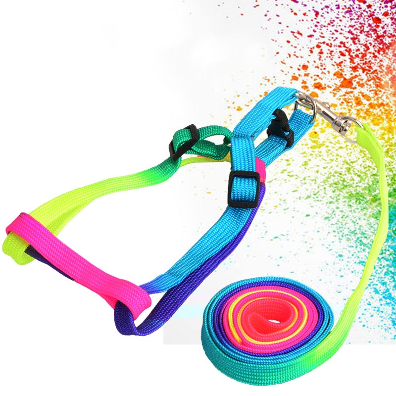 Neon Rainbow Harness Set