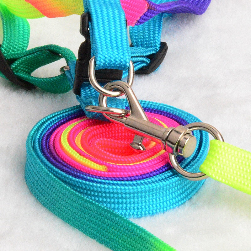 Neon Rainbow Harness Set