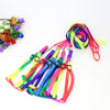 Neon Rainbow Harness Set