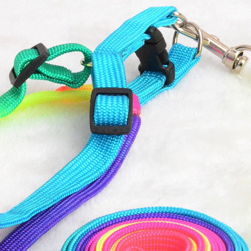 Neon Rainbow Harness Set