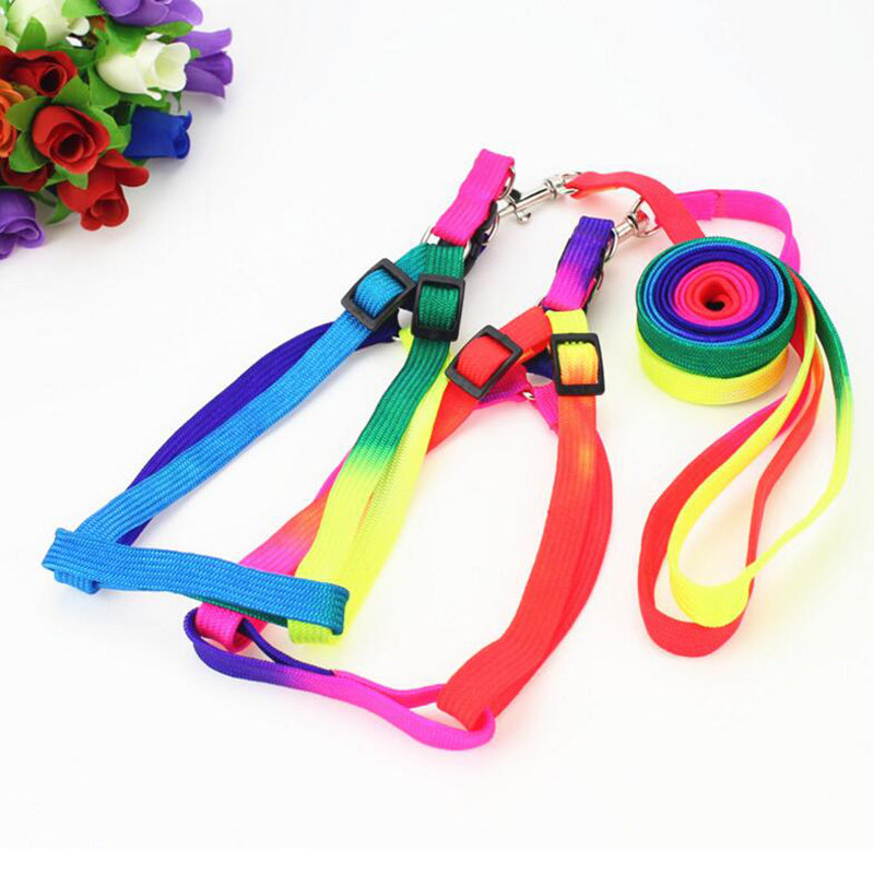 Neon Rainbow Harness Set