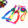 Neon Rainbow Harness Set