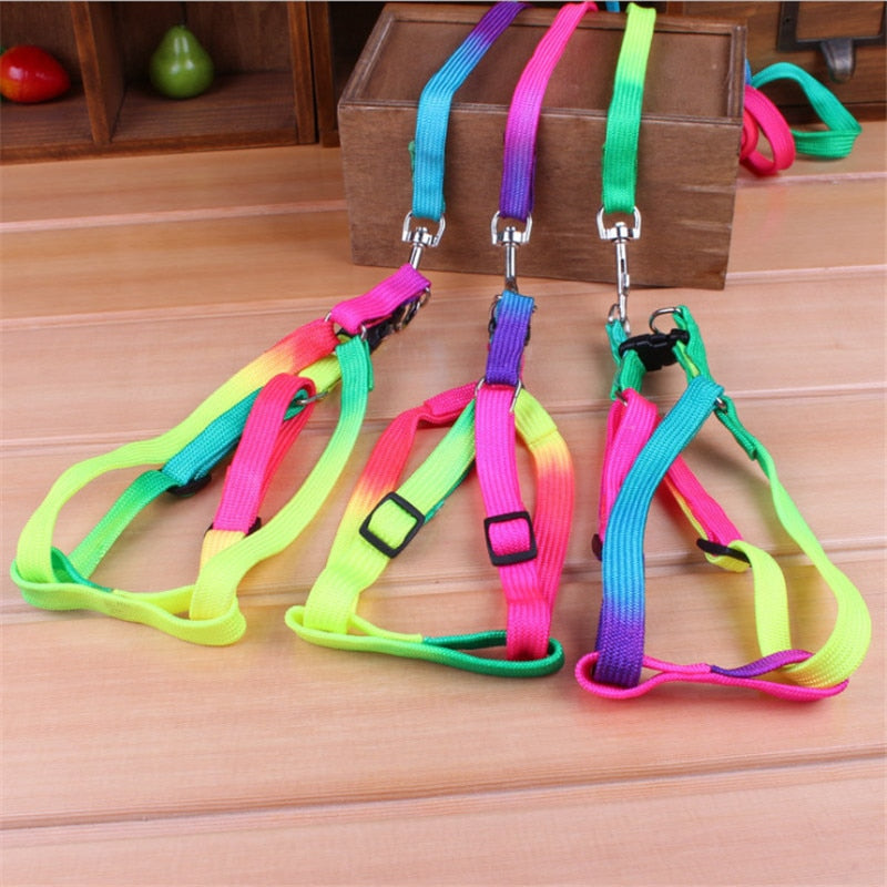 Neon Rainbow Harness Set