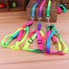 Neon Rainbow Harness Set