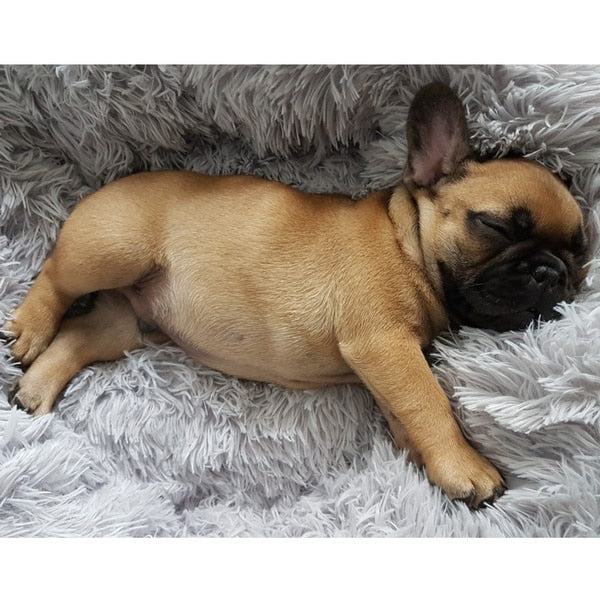 Plush Donut Dog Bed