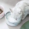 Marble Ceramic Feeding Bowls