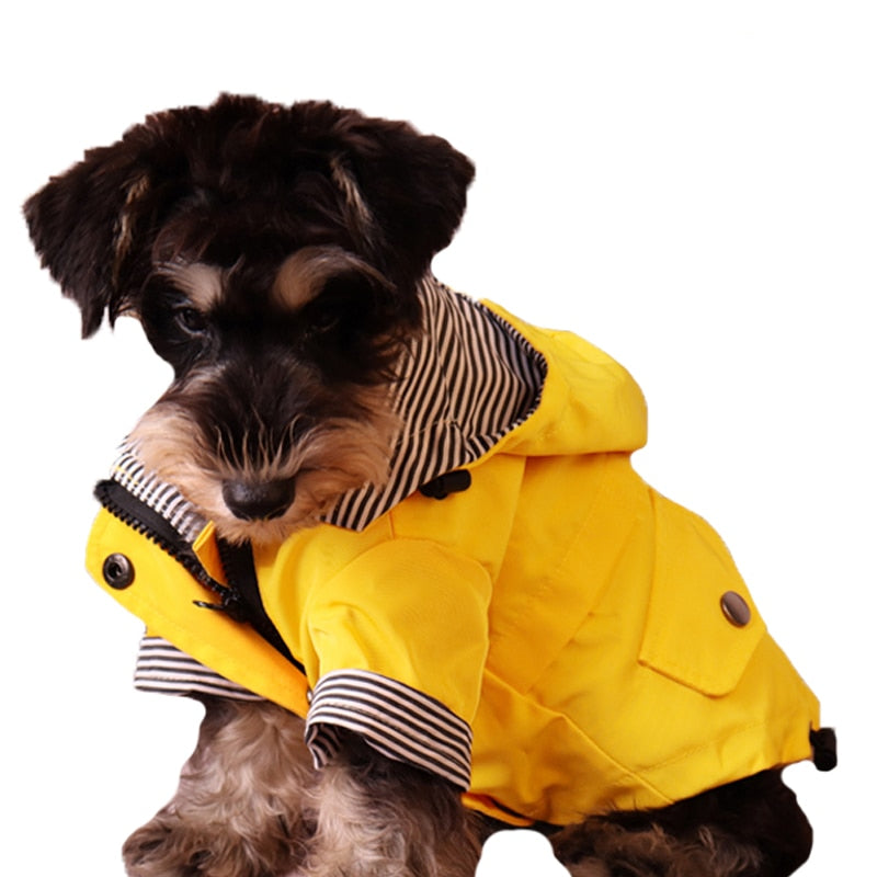 Nautical Doggo Rain Jacket