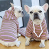 Striped Pup Hoody