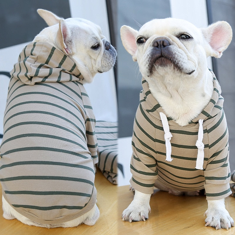 Striped Pup Hoody