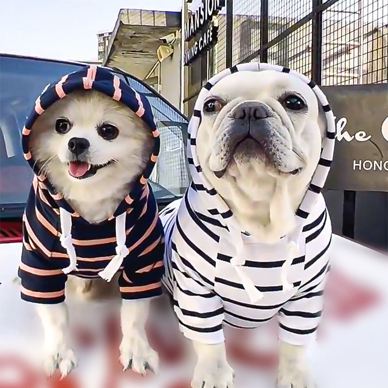 Striped Pup Hoody