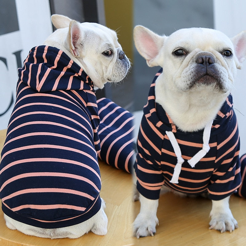 Striped Pup Hoody