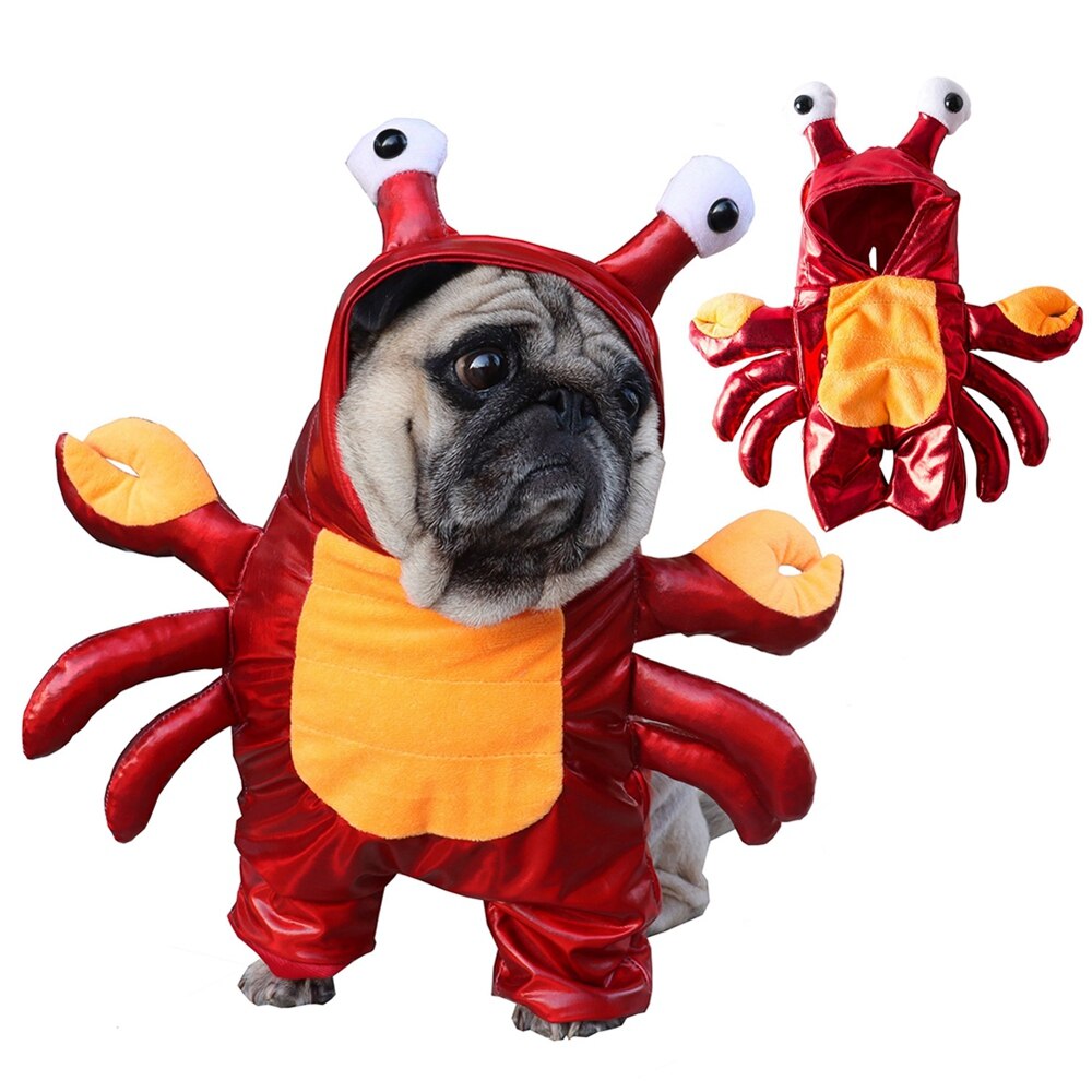 Crabby Puppy Costume