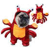 Crabby Puppy Costume