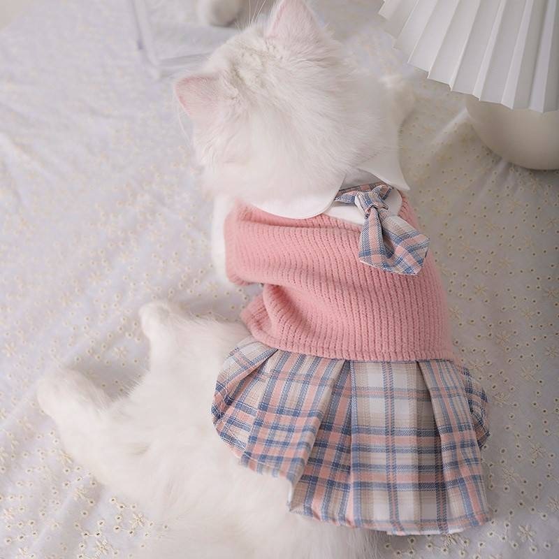 Preppy Pup Varsity Dress