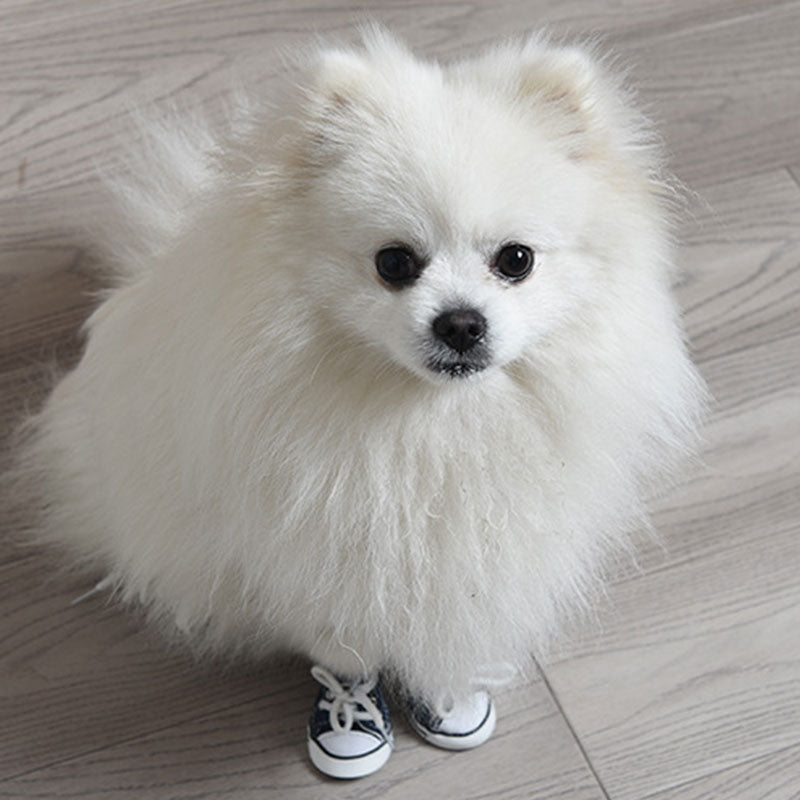 Stylin' Pup Sneakers