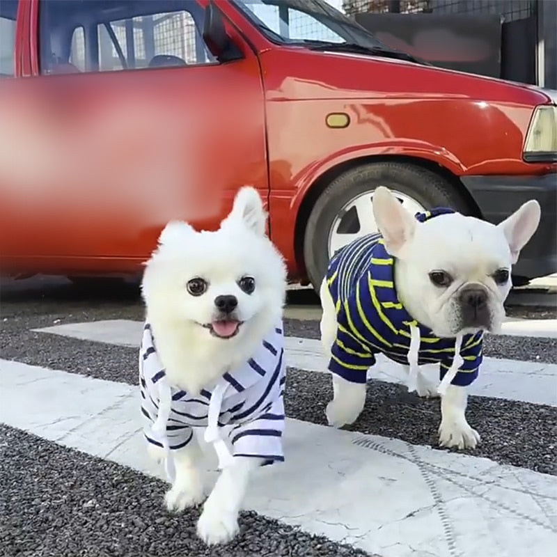 Striped Pup Hoody