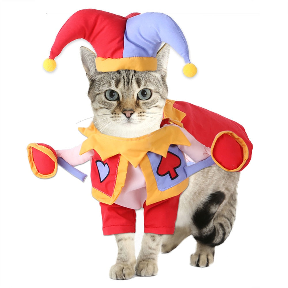 Jovial Jester Pup Costume