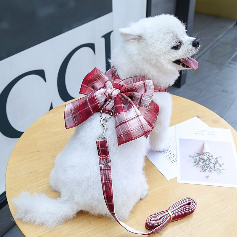 Pretty Plaid Bow Harness Set