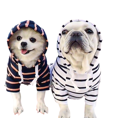 Striped Pup Hoody