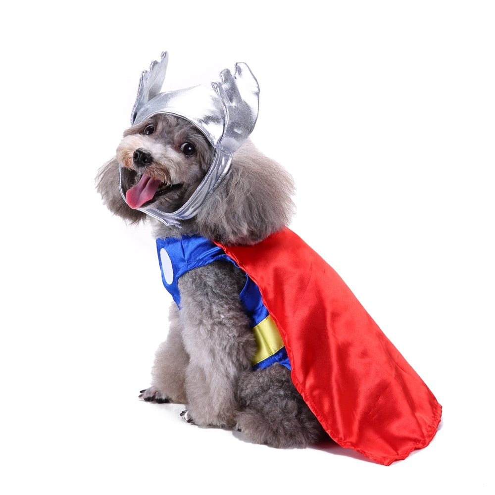 Thunderous Thor Pup Costume