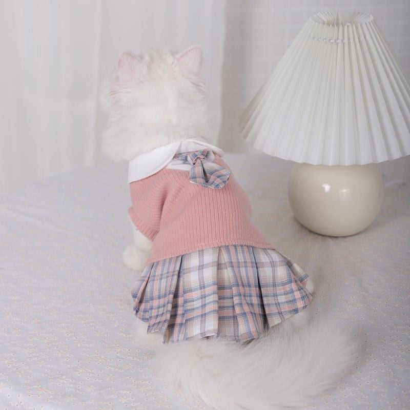 Preppy Pup Varsity Dress