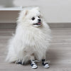 Stylin' Pup Sneakers