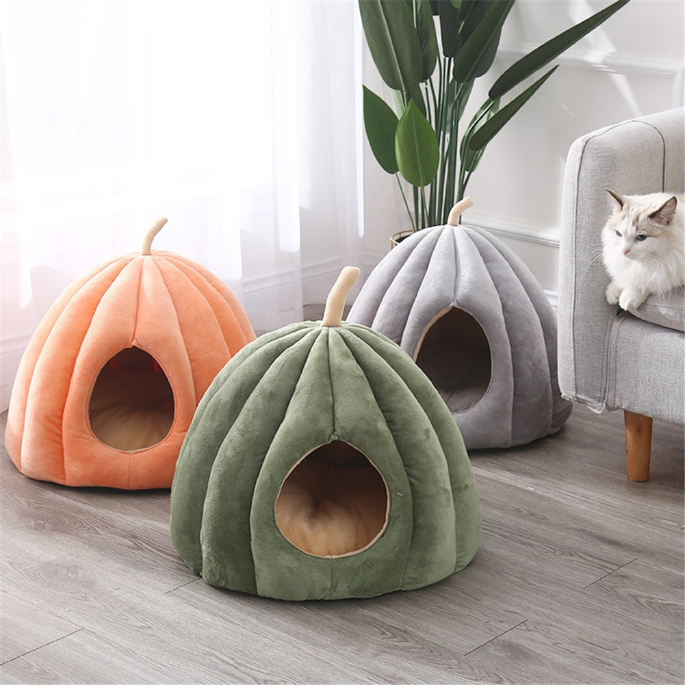 Cozy Pumpkin House