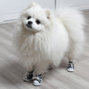 Stylin' Pup Sneakers